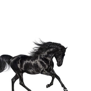 Lil Nas X - "Old Town Road" Drum Sheet Music